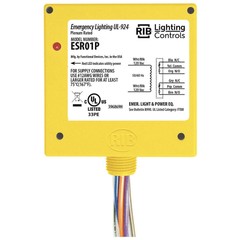 RIB ESR01P EnclosedPre-Wired Relay,120VAC,DPDT,20A 21GP53