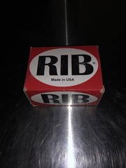 Functional Devices-Rib Rib21cdc Enclosed Pre-Wired Relay,10A At 30Vdc,Spdt