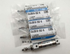 CDJ2B16-20Z-B SMC cylinder