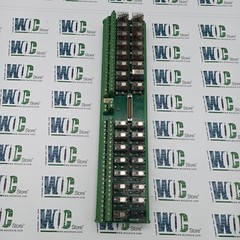 5522091 PHOENIX CONTACT 32 PT RELAY MODULE with OMRON G2R-1-S (1 relay missing)