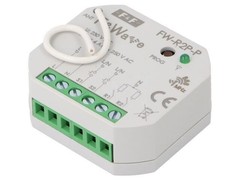 FW-R2P-P relay F&Wave IP20 85-265VAC 85-265VDC 230VAC NO x2 -25-65°C