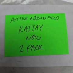 2 Pack Potter & Brumfield KAIIAY Relay 24V 50/60Hz New Lot of 2