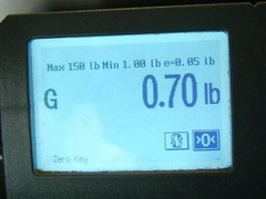 GE General Purpose 10 Amp Relay 300V Max, 24V DC, CR2790E1100H33