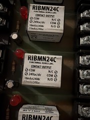 Functional Devices RIBMN24C Contact Output. Exact Product Pictured.