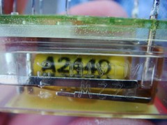 One Tray 20 ALCATEL (SWISS) 48V DPDT RELAY’s — A2440W-PZ2W — New and Unused