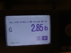 Allen-Bradley DC Relay , 700DC-PK400Z24