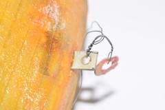Electric Rating Rely Kind, 535763, A2FF3, CRY 69, Coil, 125V, 4-1/8 OD, 2-5/8 ID