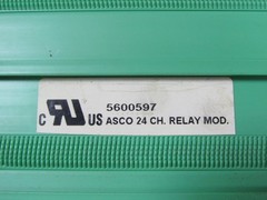 💥ASCO 24 CHANNEL RELAY MODULE 5600597 W/ 24 OMRON 24 VDC RELAYS G2R-1-S
