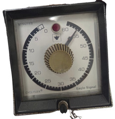 Eagle Signal Cycl-Flex HP5 Reset Timer 0-60 Min 115/2 (115-120V, 230-240V)
