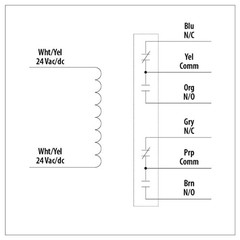 RIB24P Enclosed Relay, 20 Amp Dpdt with 24 Vac/Dc Coil