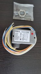 RIB RIBU1C Relay