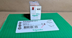 Schneider Electric RXM4AB1P7 Miniature Plug-in relay, 6A, 4C/O, 230VAC (New)